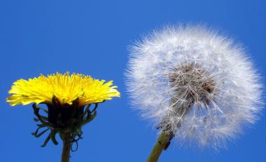 blog